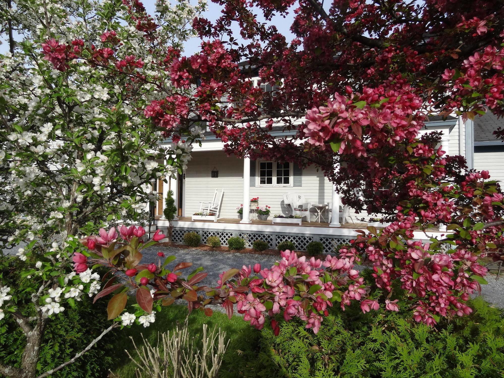 Williston Village Inn Burlington Zewnętrze zdjęcie
